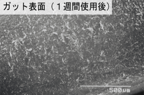 傷ついたガット表面の電子顕微鏡画像